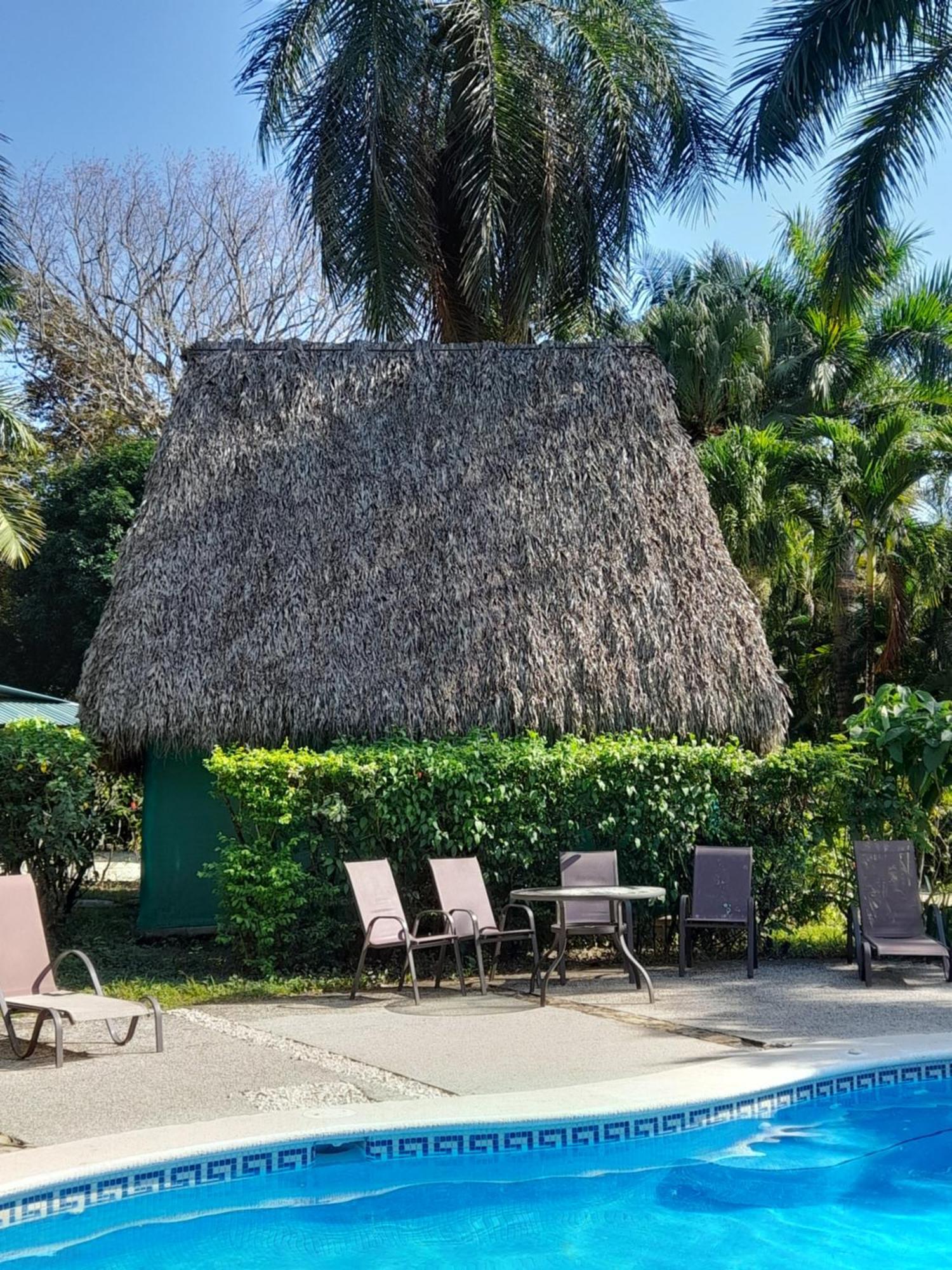 Mal Pais Surf Camp Hotel Playa Santa Teresa  Kültér fotó