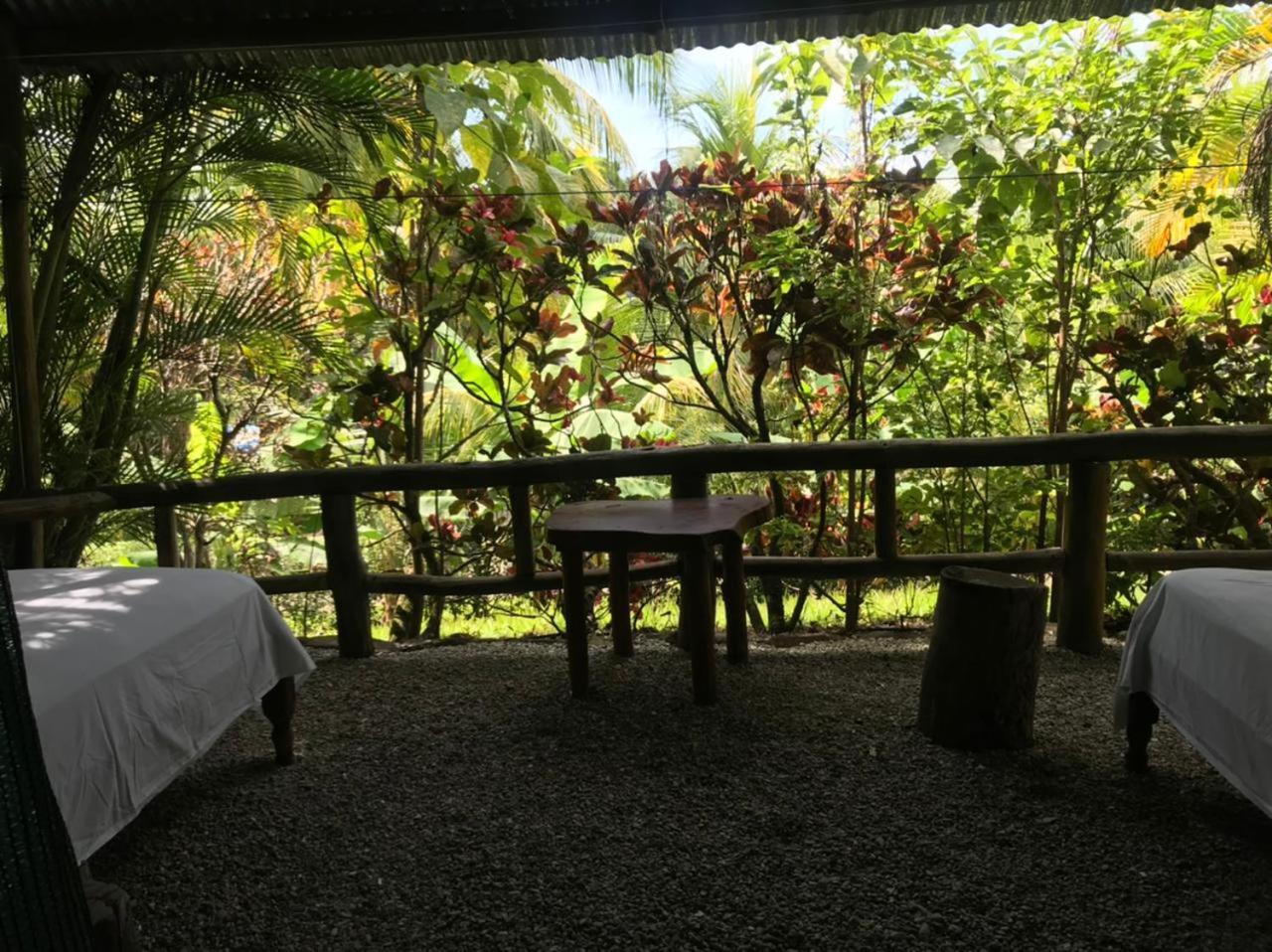 Mal Pais Surf Camp Hotel Playa Santa Teresa  Kültér fotó