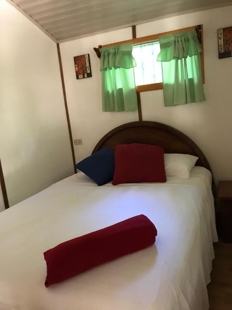 Mal Pais Surf Camp Hotel Playa Santa Teresa  Kültér fotó
