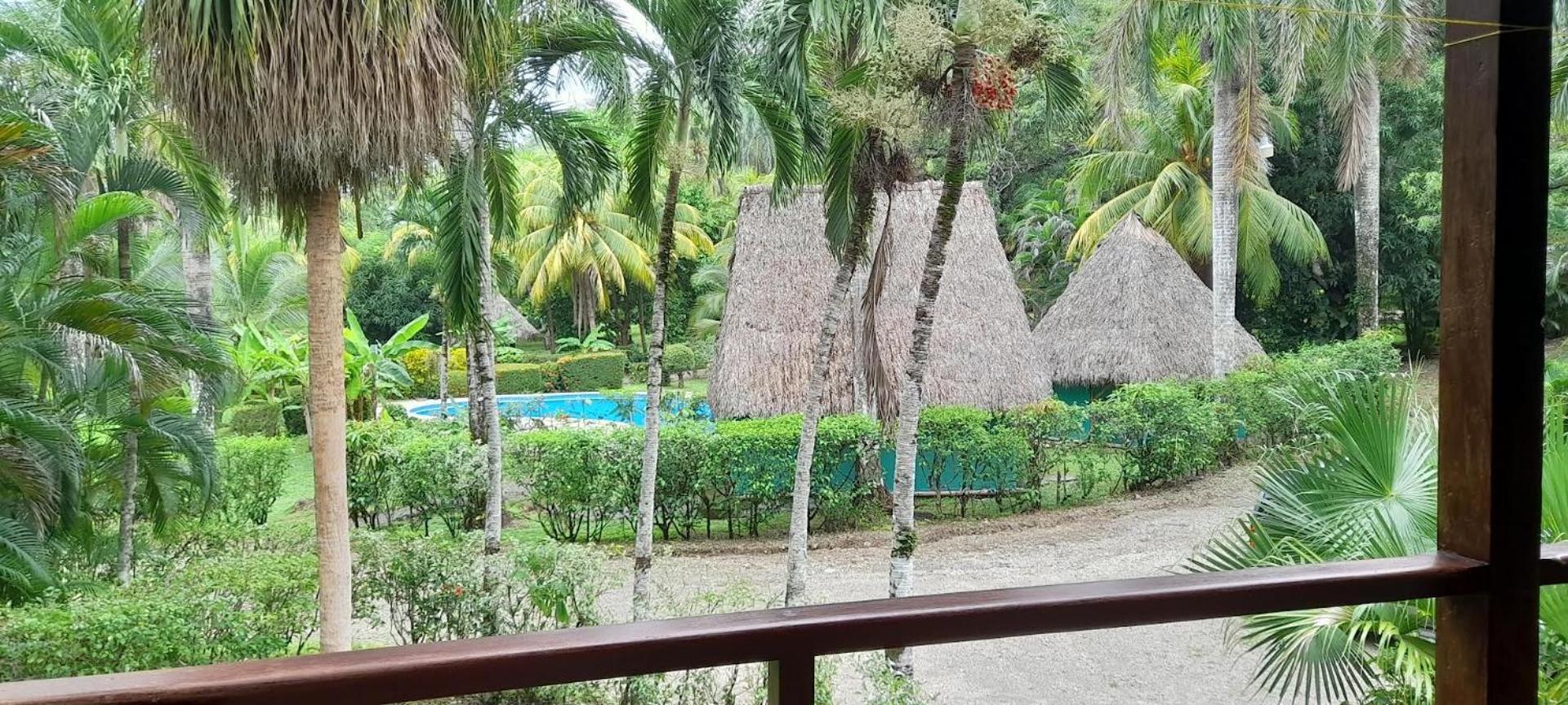 Mal Pais Surf Camp Hotel Playa Santa Teresa  Kültér fotó