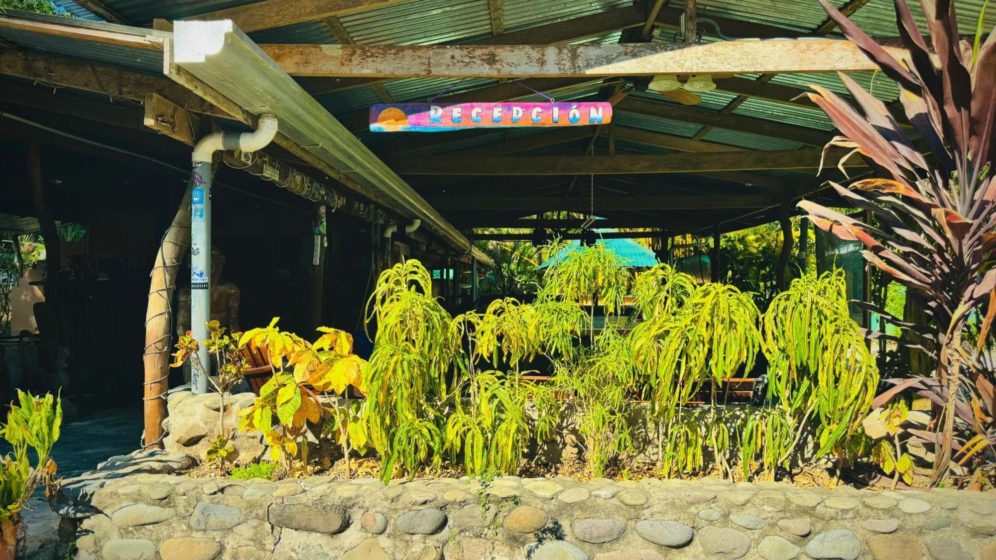 Mal Pais Surf Camp Hotel Playa Santa Teresa  Kültér fotó