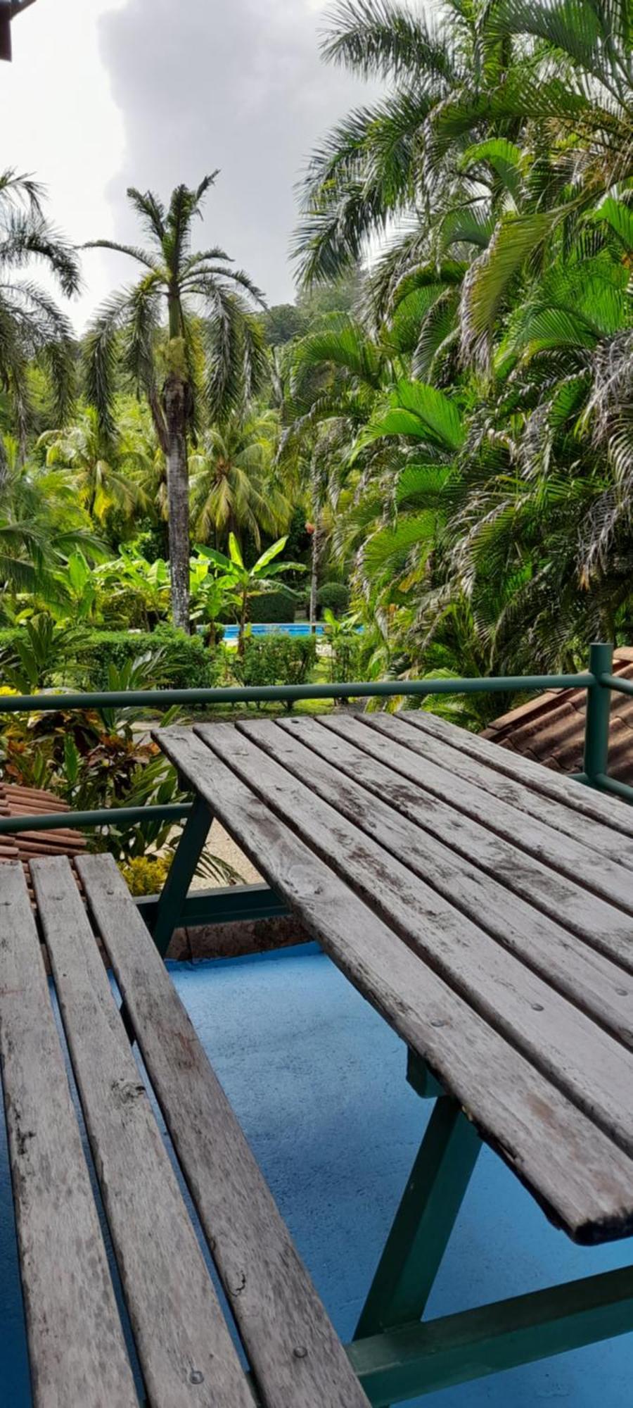 Mal Pais Surf Camp Hotel Playa Santa Teresa  Kültér fotó