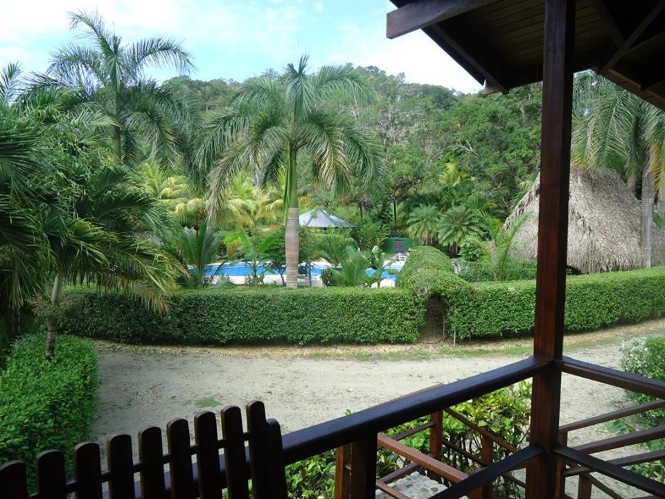 Mal Pais Surf Camp Hotel Playa Santa Teresa  Kültér fotó