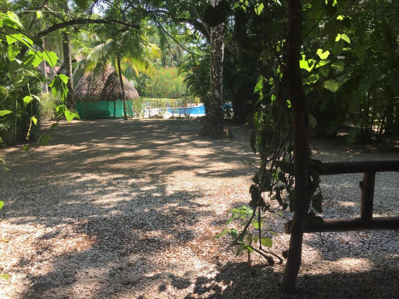 Mal Pais Surf Camp Hotel Playa Santa Teresa  Kültér fotó