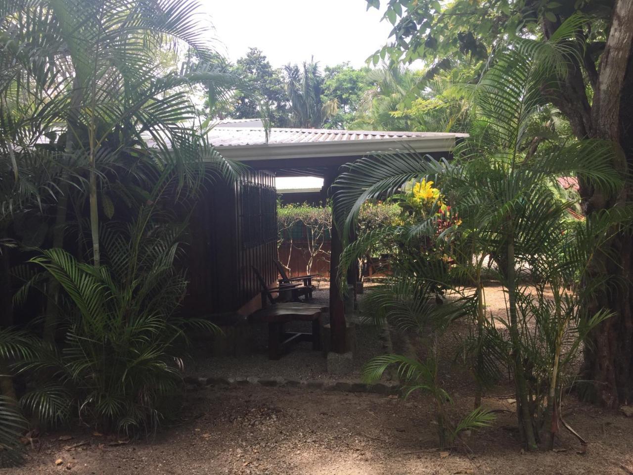 Mal Pais Surf Camp Hotel Playa Santa Teresa  Kültér fotó